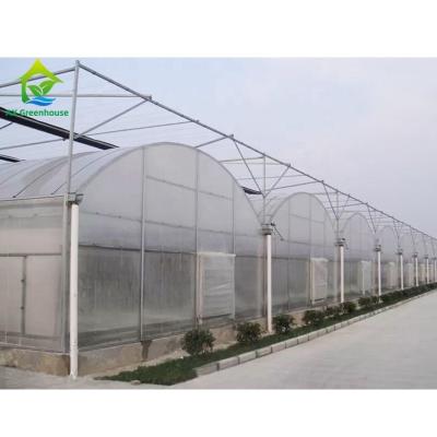 中国 Plastic Sheet Hydroponic Greenhouse Systems Multi Span 販売のため