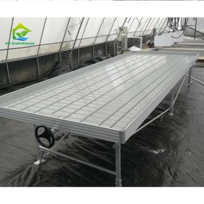 China Ebb And Flow Vertical Grow Flood Table Film Greenhouse Rolling Benches à venda
