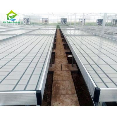 China Ebb And Flow Vertical Grow Rack System Rolling Bench Flood Table à venda