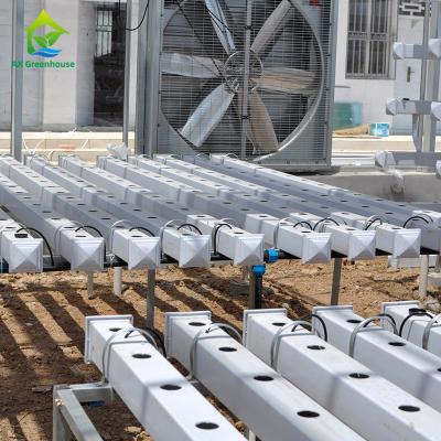 Chine Équipement croissant hydroponique de système hydroponique Soilless vertical de serre chaude à vendre