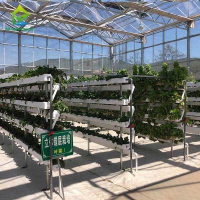 China O sistema hidropônico Soilless de cultivo vertical personalizou o controle inteligente do tamanho à venda