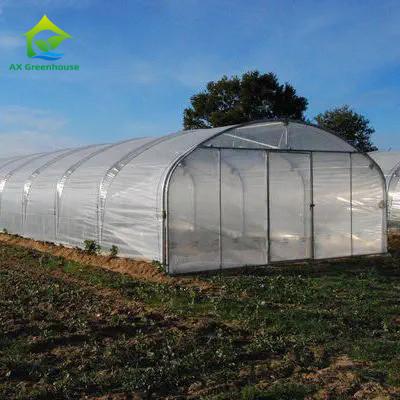 中国 High Strength Easy Installation Poly Tunnel Greenhouse Insect Prevention Increase Production 販売のため