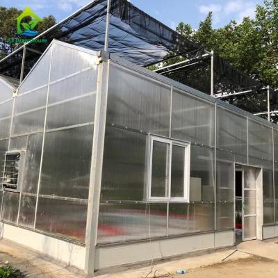 中国 Heat preservation and insulation PC Sheet Greenhouse High strength 販売のため