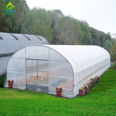 Chine Automatic Ventilation System High Arch Poly Tunnel Greenhouse With Insect Nets à vendre
