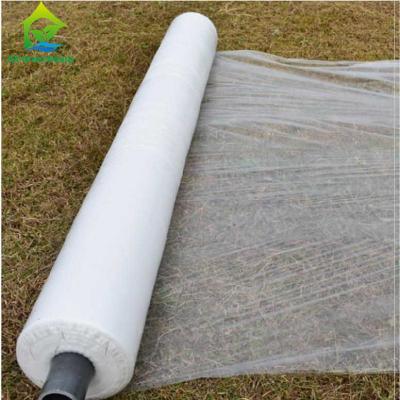 China 150 Micro Strawberry Greenhouse Cover Materials 88% Transmittance PE Plastic Film for sale