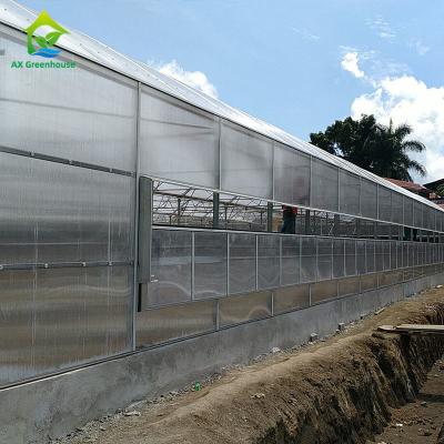 China materiales de la cubierta del invernadero del panel del policarbonato de 6-12m m para las áreas extremas del tiempo en venta