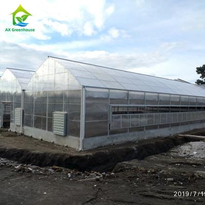 China 1.2g/Cm2 Anti Snow Greenhouse Polycarbonate Sheets 6mm Twin Wall Polycarbonate Panels for sale
