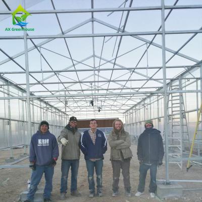 China Rectangle High Insulation Plastic Greenhouse Cover Anti Snow 3 Layer PC Sheet for sale