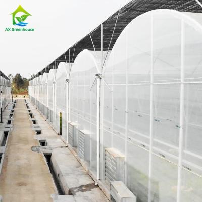 China Película de estiramiento de alta resistencia de la protección del invernadero de los materiales ULTRAVIOLETA PE de la cubierta en venta