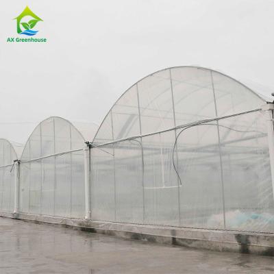 China UV Resistant Plastic Film Greenhouse for sale
