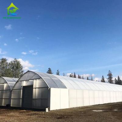 China 1.8-3m Wall Height Light Dep Grow Tunnel Greenhouse With Climate Control System for sale