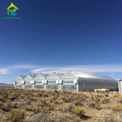 China Multispan 28m-50m Length Light Deprivation Greenhouse With Blackout System for sale