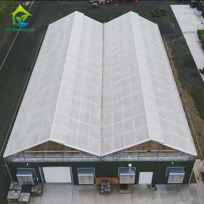 Chine Lumière conservatrice Dep Greenhouse de l'agriculture 10x20 de serre chaude de Flowerhouse de panne d'électricité à vendre