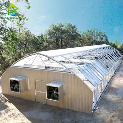 China 3.2*3 Steeple Auto Blackout Greenhouse Light Dep Caterpillar Tunnel Greenhouse for sale