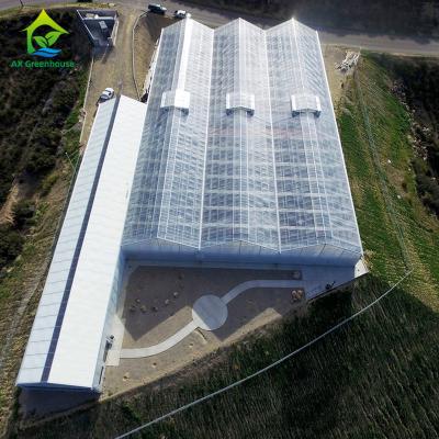 China 220V Gutter Connected Greenhouse for sale