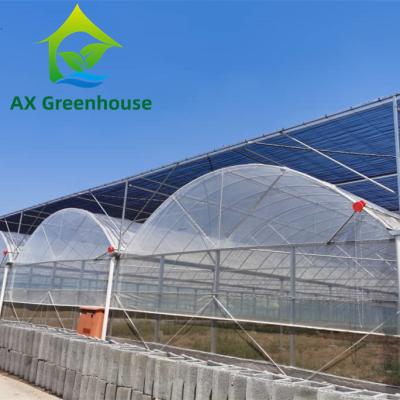 China Hot Galvanized Steel PE Film Greenhouse 44m-52m Length Plastic Tomato Greenhouse for sale