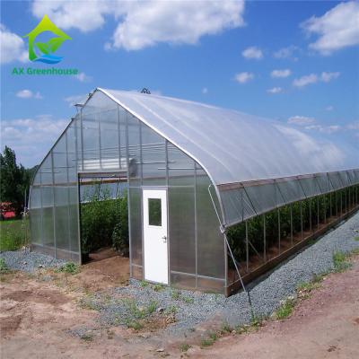 China 8m*30m Hydroponic Poly Tunnel Greenhouse Heavy Duty Plastic Sheeting Greenhouse for sale