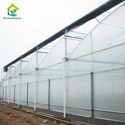 China OEM Sawtooth PO PE Plastic Film Greenhouse For Strawberries for sale
