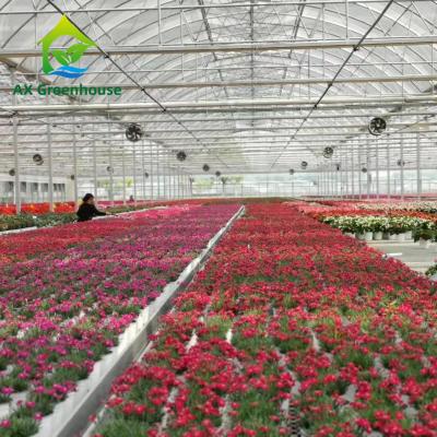 China Hot Dip Galvanized Steel Plastic Film Greenhouse 3-8m Gutter Four Seasons Greenhouse for sale