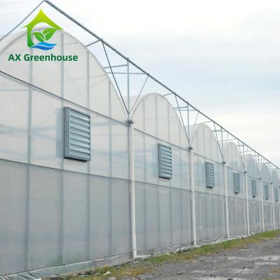 China Intelligent Film Serre Invernadero Greenhouse Multispan Tomato Greenhouse Structure for sale