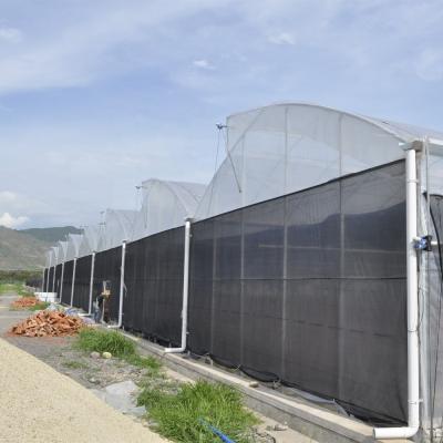 China Industrial Sawtooth Plastic Film Greenhouses 3.0m-6.0m Gutter Flower Farm Greenhouse for sale
