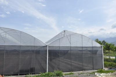 China Agricultural Tomatoes Saw Tooth Greenhouse 8-12m Span Polyethylene Film Greenhouse for sale