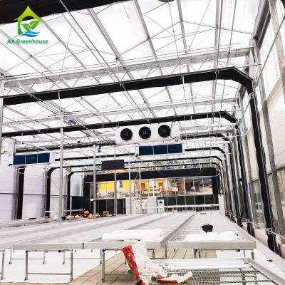 China ODM Auto Light Deprivation Greenhouse 6m-12m Width Polycarbonate Sheet Greenhouse for sale