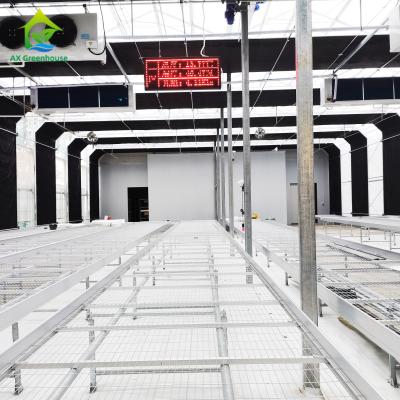 China Vegetables Blackout Light Dep Green House 70m Length Caterpillar Tunnel Greenhouse for sale