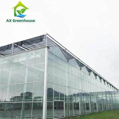 China OEM ODM 4mm 5mm Glass Tomato Farming Greenhouse With Cooling System for sale