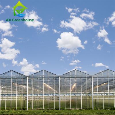 中国 12m高いフェンローの屋根の農業のガラス温室の熱いすくいは鋼鉄温室に電流を通した 販売のため