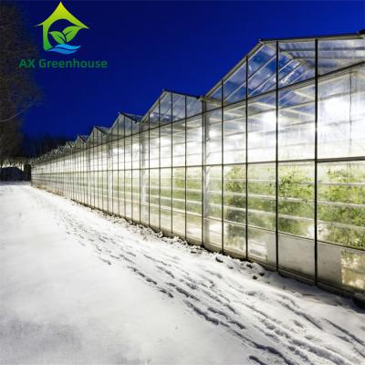 China Invernadero de cristal del tomate del invierno de Venlo en venta