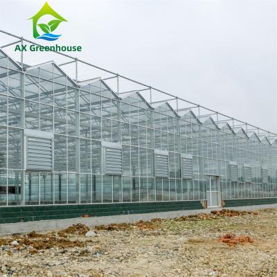 China 3.0m To 8.0m Gutter Venlo Tempered Glass Greenhouse For Flowers for sale