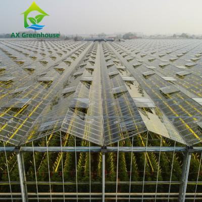 China Insulated Automatic Agricultural Glass Greenhouse Commercial Turnkey Hydroponic Greenhouse for sale