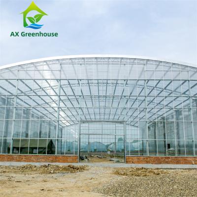 China Waterproof Multispan Agricultural Glass Greenhouse Large Venlo Shading Greenhouse for sale