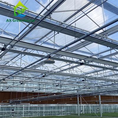 China Custom Clear White Horticultural Glass Greenhouses For Cold Climates for sale