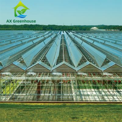 China ODM Industrial Agricultural Glass Greenhouse for sale
