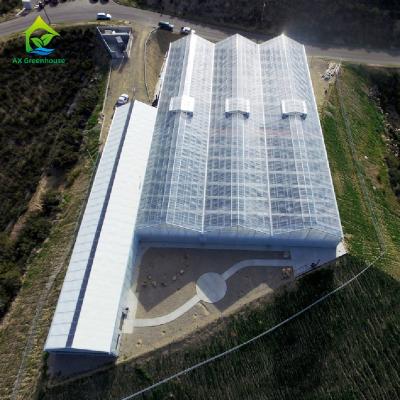 중국 난초 공장을 위한 고온 침지 아연도강 구조물 PC 시트 온실 판매용