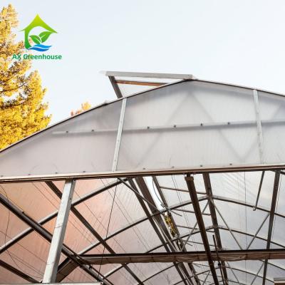 China Vertical Farming Clear Polycarbonate Greenhouse 3m To 7m Height for sale