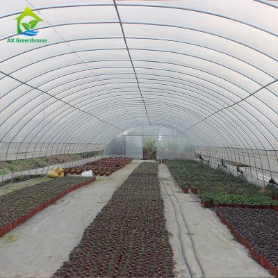 China 8x30m Tomato Poly Tunnel Greenhouse 150-200micron Plastic Film Hemp Greenhouses for sale