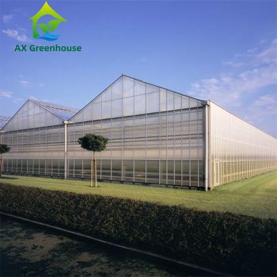 China Invernadero vegetal de la hoja de la PC de la planta agrícola de la granja con el sistema de ventilación en venta
