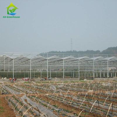 China OEM Flowers Polycarbonate Sheet Greenhouse Transparent Tropical Fruit Greenhouse for sale