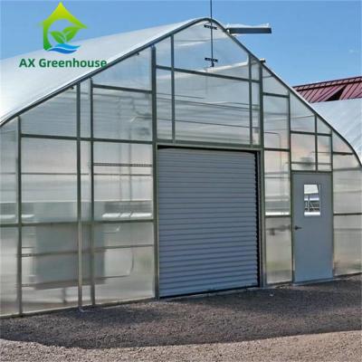 China Single Span Double Layer 8mm PC Sheet Greenhouse Venlo 0.5KN/M2 Wind Load for sale
