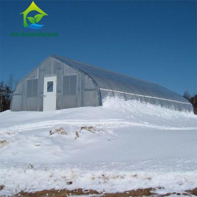 China 9.6m Width Peach Type Roof PC Sheet Greenhouse Hot Galvanized Pipe Greenhouse for sale