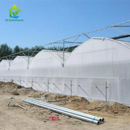 China OEM Agricultural PC Sheet Greenhouse for sale