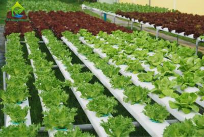 China Nontoxic PVC Soilless Culture System Vertical Hydroponic Growing Irrigation Equipment for sale