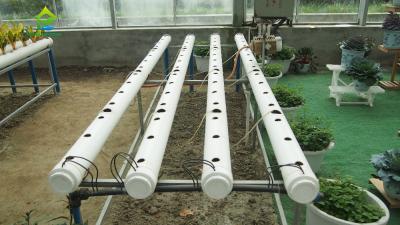 China Sistema hidropónico Soilless auto amistoso de ECO para las verduras frondosas en venta