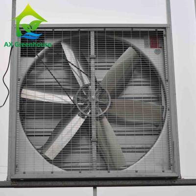 China Dia 500-1250mm Blade Wet Wall Exhaust Fans Industrial Wall Mounted Extractor Fans for sale