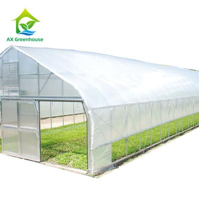 China 26ft Width Single Span Pipe Framed Greenhouse Anti UV Film High Tunnel Greenhouse for sale