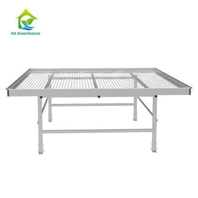 China 30*60mm Steel Mesh Commercial Greenhouse Tables Seedbed Nursery Rolling Benches for sale
