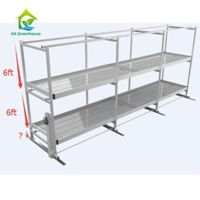 China Stackable Greenhouse Racks Rolling Grow Benches Vertical Grow Rack System for sale